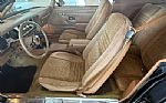 1979 Trans Am Low Miles 4 Speed Thumbnail 14
