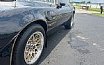 1979 Trans Am Low Miles 4 Speed Thumbnail 23