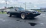 1979 Trans Am Low Miles 4 Speed Thumbnail 36