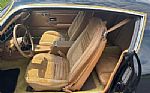 1979 Trans Am Low Miles 4 Speed Thumbnail 41