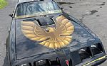 1979 Trans Am Low Miles 4 Speed Thumbnail 48