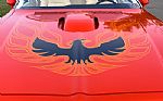 1976 Trans Am Thumbnail 9