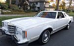1979 Thunderbird Thumbnail 2
