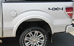 2010 F150 Platinum 4X4 Thumbnail 4