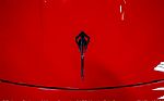2024 Corvette E-Ray Thumbnail 27