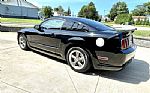 2005 Mustang Thumbnail 61