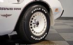 1980 Firebird Trans Am Turbo Pace C Thumbnail 63