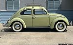 1963 Beetle Thumbnail 3