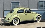 1963 Beetle Thumbnail 4