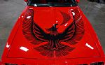 1981 Firebird Trans Am Thumbnail 31