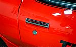1981 Firebird Trans Am Thumbnail 37