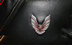 1981 Firebird Trans Am Thumbnail 39