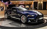 2019 Mustang Shelby Super Snake Thumbnail 8