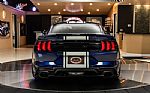 2019 Mustang Shelby Super Snake Thumbnail 13