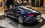 2019 Mustang Shelby Super Snake Thumbnail 16