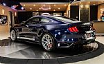 2019 Mustang Shelby Super Snake Thumbnail 15