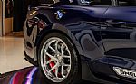 2019 Mustang Shelby Super Snake Thumbnail 22