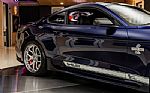 2019 Mustang Shelby Super Snake Thumbnail 21