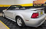 2004 Mustang Convertible Thumbnail 6