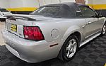 2004 Mustang Convertible Thumbnail 25