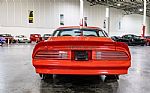 1977 Trans Am Thumbnail 6