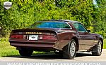1977 Trans Am Thumbnail 15