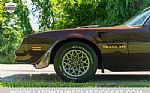 1977 Trans Am Thumbnail 26