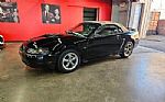 2001 Mustang Thumbnail 2
