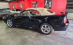 2001 Mustang Thumbnail 5