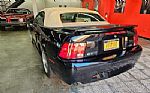 2001 Mustang Thumbnail 12