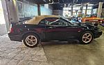 2001 Mustang Thumbnail 16