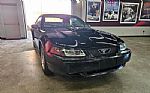 2001 Mustang Thumbnail 20