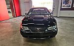 2001 Mustang Thumbnail 21
