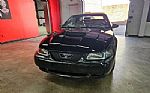 2001 Mustang Thumbnail 22