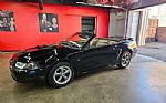 2001 Mustang Thumbnail 57