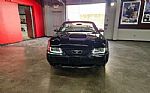 2001 Mustang Thumbnail 58
