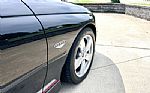 2004 GTO Thumbnail 14