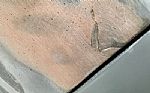 1974 Corvette Convertible Thumbnail 38