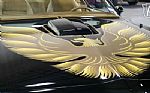 1979 Trans Am Thumbnail 9