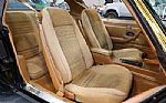 1979 Trans Am Thumbnail 14