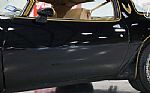 1979 Trans Am Thumbnail 48