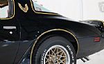 1979 Trans Am Thumbnail 49