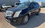2013 SRX Thumbnail 1