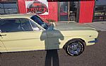 1966 Mustang Thumbnail 38