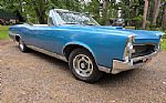 1967 GTO Thumbnail 1