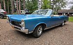 1967 GTO Thumbnail 7