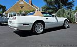 1991 Corvette Thumbnail 6
