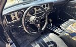 1979 Trans Am Thumbnail 14