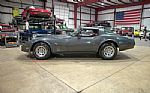 1981 Corvette Thumbnail 4
