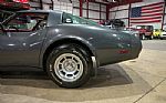 1981 Corvette Thumbnail 5